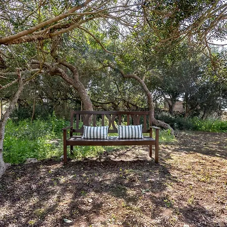 Casa de Campo Sa Bassa Llova By Dracmallorca *